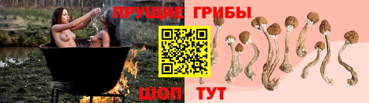 Галлюциногенные грибы Psilocybe  как найти закладки  Ленинск-Кузнецкий  Псилоцибиновые грибы Psilocybe  Вход с VPN 